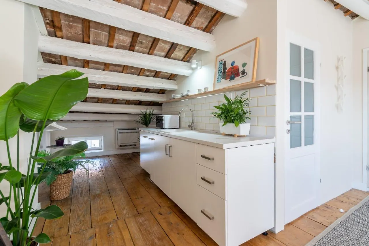 Apartments & Room Carera 6 Rovinj Guest house